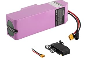 UURRPP Batterie de vélo électrique 24V Batterie Li-ION 10Ah 12Ah 14Ah 17,5Ah 20Ah avec Chargeur 29,4V 200W-600W 250W 300W 350W 400W 500W Peut être utilisé pour Scooter, etc.