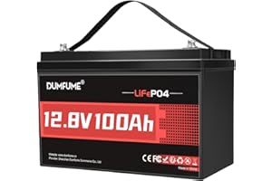 Dumfume Batteria al Litio 12V 100Ah LiFePO4 (1,28kWh) - Gruppo 24, BMS 100A, 15.000 Cicli, Alta Densità Energetica - Per Camper, Solare e Applicazioni Off-Grid