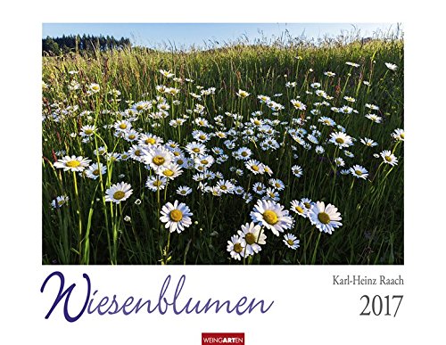 Preisvergleich Produktbild Wiesenblumen - Kalender 2017