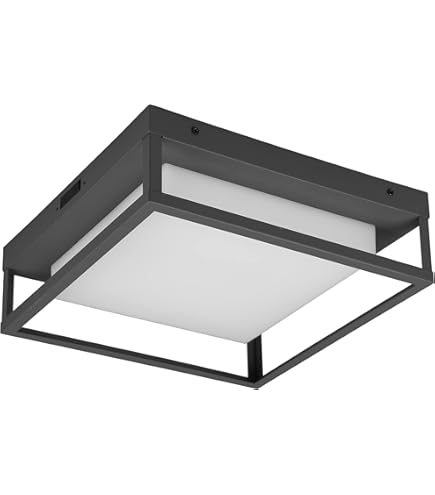 Paulmann Plafonnier LED 3-Step-Dim Amalie 2700K 1000lm 230V 16W