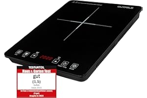 GUTFELS INDUK 2010 Induction Hob 1 Plate Automatic Pot Detection 2000 Watt Power Touch Operation Child Lock