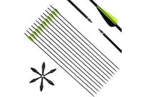 DEWEEY Narchery Carbon Arrows, 31 Inches / 79 cm Archery Arrows with Plastic Feather, Hunting Arrows for Bows, Traditional Bows, Recurve Bows and Longbows, Set of 12