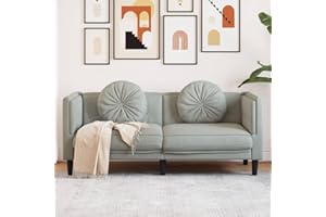 Willood Sofa mit Kissen 2-Sitzer Hellgrau Samt, Polstersofa Loungesofa Couch für Wohnzimmer, Designsofa Wohnzimmersofa Sitzmöbel, Modern