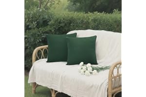 Bai You Mei Kissenbezüge Outdoor, Outdoorkissen 45 x 45 cm Kissenbezug Wetterfest Kissenhülle Sofakissen Dekokissen Gartenkissen Modern für Garten Sofa Balkon Terrasse Deko 2er Set (Dunkelgrün)