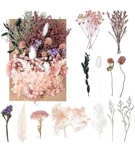 K pressa per fiori, pressa per foglie, pressa pe... – Grandado