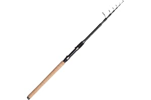 DAM Allround Shadow Tele - Caña de pescar telescópica (2,70 m, 25-40 g)