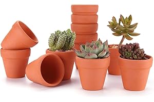 T4u Arte Arcilla de Terracota Rojo 8CM Paquete de 12, Maceta de Planta Vivero Suculento Cactus Hierba DIY Jardinería Decoración para Escritorio Antepecho de Oficina Regalo para Boda Navidad