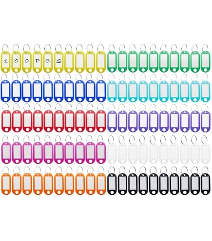 20 étiquettes Porte-clés Plastique - 10 Couleurs, Cartes Inscriptibles, Couvercle Transparent | Pour Clés, Bagages, Animaux, USB