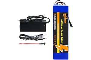 UBETTER 48V 8AH 8000mAh batteria al litio per bicicletta, batteria agli ioni di litio per bicicletta elettrica con kit di ricarica e BMS da 30A per e-scooter da 0-1400W, e-motor e-bike, e-scooter