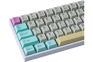 JakeTsai Touches PBT à 166 Touches, Touches de Sublimation colorée, Touches de Profil Cherry simulées Dream Cherry Disposition ASIN/ISO pour Touches MX et Clavier de Jeu mécanique