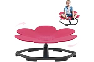 ‎NAIZY NAIZY Kinder Karussell Drehstuhl für Sensorischer Autismus Training Balance Board Sensorik Spielzeug Koordination & Gleichgewicht, für ab 3-9 Jahren