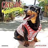 Crusoe the Celebrity Dachshund Mini 2019 Wall Calendar (Dog Breed Calendar) by