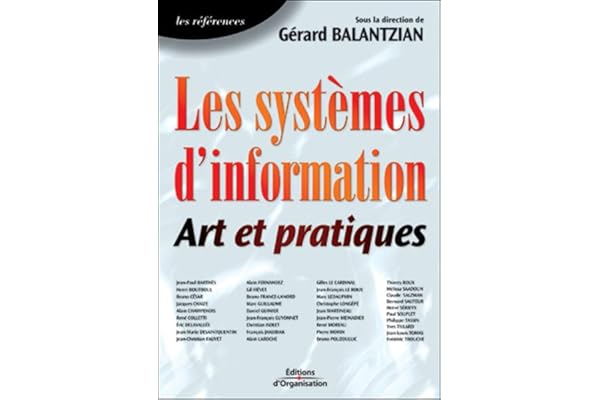 Les Systèmes d'information : Art et Pratiques