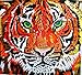 Produktbild Chloe Croft London Tiger Fine Art Print, Gold/Gelb/Orange/Braun/Schwarz, Größe D