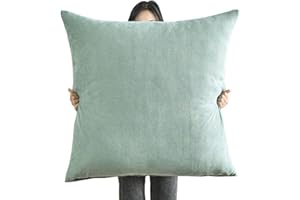 SWJ-SWJSSB Super King Size Pillow Cases,Square Extra Large Cushion Covers 50x50, 60 x 60,70x70,80x80 cm Soft Pillow Cover with Invisible Zipper Decorative pillowcases for pillows Sofa Couch ( Color : Lake Blue ,