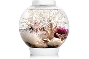 biOrb CLASSIC 15 LED blanc