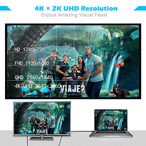 USB C auf HDMI Kabel (4K@60Hz), CHOETECH (6ft/1.8m) USB 3.1 Typ C (Thunderbolt 3 kompatibel) zu HDMI Kabel für MacBook pro 2017/2016, 2015/2016 MacBook, Samsung Galaxy S8/S8 Plus, ChromeBook Pixel und andere - 6