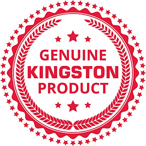 Kingston SA1000M8 240G - Unidad de Estado s  lido de 240 GB  M 2 2280  PCIe NVMe