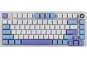EPOMAKER x LEOBOG Hi75 Aluminum Alloy Wired Mechanical Keyboard, Programmable Gasket-mounted Gaming Keyboard with Mode-Switching Knob, Hot Swappable, NKRO, RGB (White Purple, Nimbus V3 Switch)