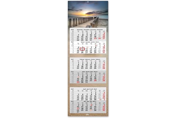 Timr 6 månaderskalender 2027 Väggkalender 95 cm Sanddyner – tr471