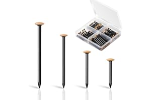 GoldOars 120 pezzi Chiodi in Acciaio (20/25/30/40 mm) Chiodi per Uso su Cemento Mattoni in Legno Pareti in Calcestruzzo