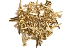 BSTHP Fermacampioni Scrapbooking, 100 Pezzi Fermacampioni Piccoli per scrapbooking (oro)