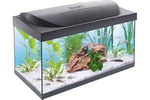 TETRA Starter Line - Aquarium LED Complet pour Débutants, Poisson - 54L