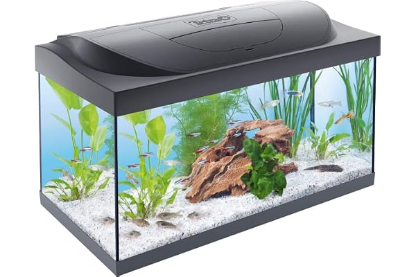 TETRA Starter Line - Aquarium LED Complet pour Débutants, Poisson - 54L