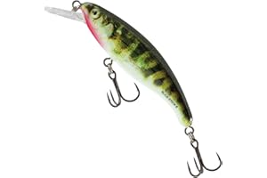 LEW'S Salmo Slick Stick Floating 6cm - Holographic Stickleback