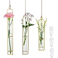 thumbnail interactive-video image 1 of Glasseam Wall Propagation Station - Glass Plant Test Tubes With Wood Stand For Home Decor 1 of 9
