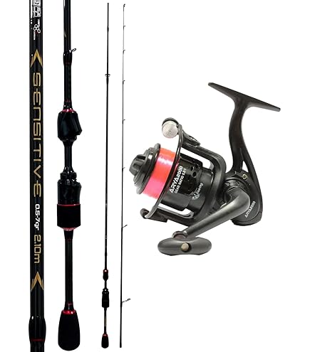 Combo Canna E Mulinello Sougayilang MX-1 - Spinning 2 Sezioni, 11+1 BB, Per Spigola E Merluzzo - Foto 3