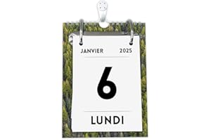 KALVOS Calendrier français 2025 - Calendrier de table - Calendrier mural à détacher - 365 jours - Calendrier à arracher par jour - Calendrier quotidien minimaliste avec grands chiffres (simple)