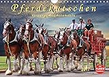  Pferdekutschen - Vorgänger des Automobils (Wandkalender 2017 DIN A4 quer): Kutschen, früher Statussymbol und das Reisefahrzeug schlechthin. (Geburtstagskalender, 14 Seiten ) (CALVENDO Tiere)