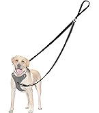 Krallenschleifer Für Hunde - Rutschfest Mit Futterbelohnung