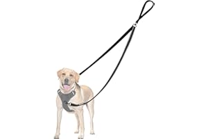 PetBonus No Pull Anti-Zieh Hundeleine, Keine Verwicklung Doppelleine für Anti-Zug Geschirr, Reflektierend Hundeleine zum Trainieren und Gassi gehen für große mittlere Hunde (Schwarz)