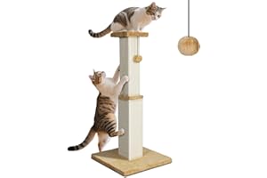 Zvonema Arbre à Chat de 78 cm Haut, Tronc en Sisal Naturel, Stable Griffoir pour Chat avec Balle en Peluche Interactive, pour Chats de Taille Moyenne et Petite, pour l'intérieur