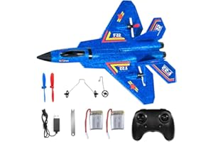 KQWVZ F-22 Rc Flugzeug, Ferngesteuertes Flugzeug, 2,4 Ghz 2 Kanal Modellflugzeug Ferngesteuert, Ferngesteuerte Flugzeuge, Outdoor-Schaumstoff-Rc-Flugzeuge mit Gyroskop System, für Anfänger,Kinder
