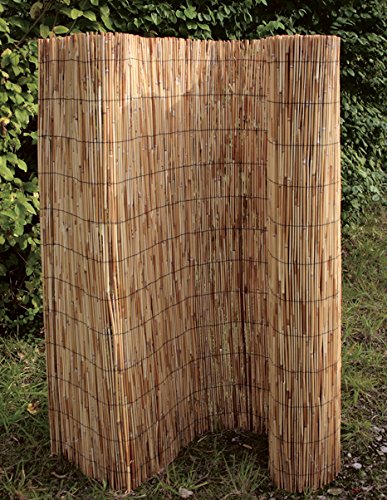 Preisvergleich Produktbild Schilfrohrmatte „Föhr“ SCHILFROHRMATTE 140 X 600 CM 51142