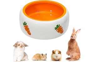 BANGMINDA Gamelle en céramique pour lapin, petits animaux, hamster, chinchilla, hérisson, chiot, chaton, gerbille, furet