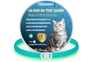 YOTANGO Collier Anti Puces pour Chat, Collier Anti Puces et Tiques pour Chats Imperméable, Réglable Collier Anti Puce Chat Lumineux - 8 Mois de Protection Naturelle pour Chats de Toutes Tailles-Bleu Clair