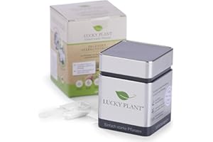 Lucky Plant Pflanzenstärkung aus Höhle der Löwen | Stärkeres Pflanzenwachstum & längere Blütezeit | Zimmerpflanzen, Sträucher, Rasen, Obst, Gemüse | 400 g