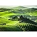 Produktbild Vlies Fototapete PREMIUM PLUS Wand Foto Tapete Wand Bild Vliestapete - SUNRISE IN TUSCANY - Sonnenaufgang Italien Toskana Weinberg Weingut - no. 068, Größe:350x245cm Vlies