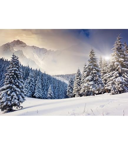 Aoihrraan 3,5x2,5m Hiver Forêt Toile De Fond Couverte Neige Sapin Pine Champ Neige Paysage Montagne Enneigée Photographie Fête Noël Nouvel An Enfants Ados Adulte Portrait Accessoires Studio Photo