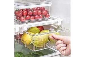 WEHOUSEWARE Cajón Organizador de Nevera extraíble - Almacenamiento para Frigorífico - Gran Capacidad (8 Compartimentos)