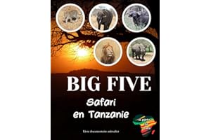 BIG FIVE : Safari en Tanzanie - Livre documentaire animalier à partir de 8 ans: Partez à la découverte du lion, du léopard, du buffle, du rhinocéros et de l'éléphant au cœur de la savane africaine
