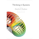 Thinking in Systems: a Primer