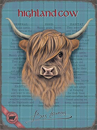 Retro Mini Metal Country Wildlife Highland Cow Hanging Decoration Sign 6.5x9cm