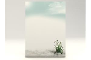 ‎DIRXBUSCHINGER Frühlingsbriefpapier | Schneeglöckchen | 20 Blatt frühlingshaftes Motivpapier DIN A4 | florale Motive | Briefpapier