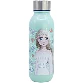 Stor DISCOVERY LARGE PP BOTTLE 640 ML FROZEN