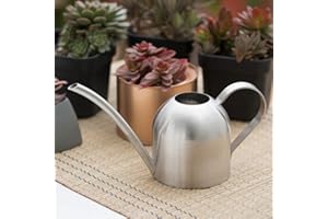 DaMohony Stainless Steel Watering Can 35.2oz/1000ml Small House Plant Flower Watering Pot with Long Spout, Modern Mini Metal Watering Can for Outdoor Indoor Garden Succulents Bonsai (Silver)